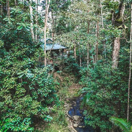 Narrows Escape Rainforest Retreat Montville Kültér fotó