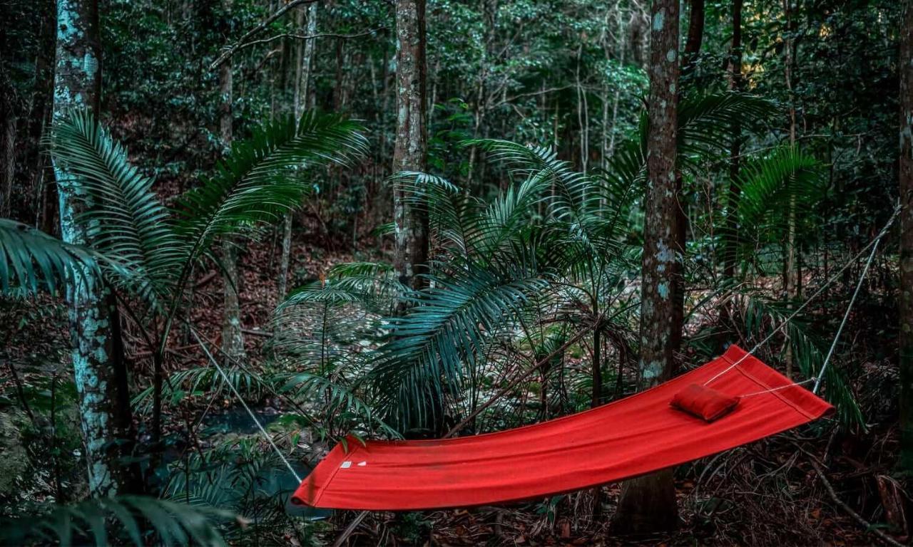 Narrows Escape Rainforest Retreat Montville Kültér fotó