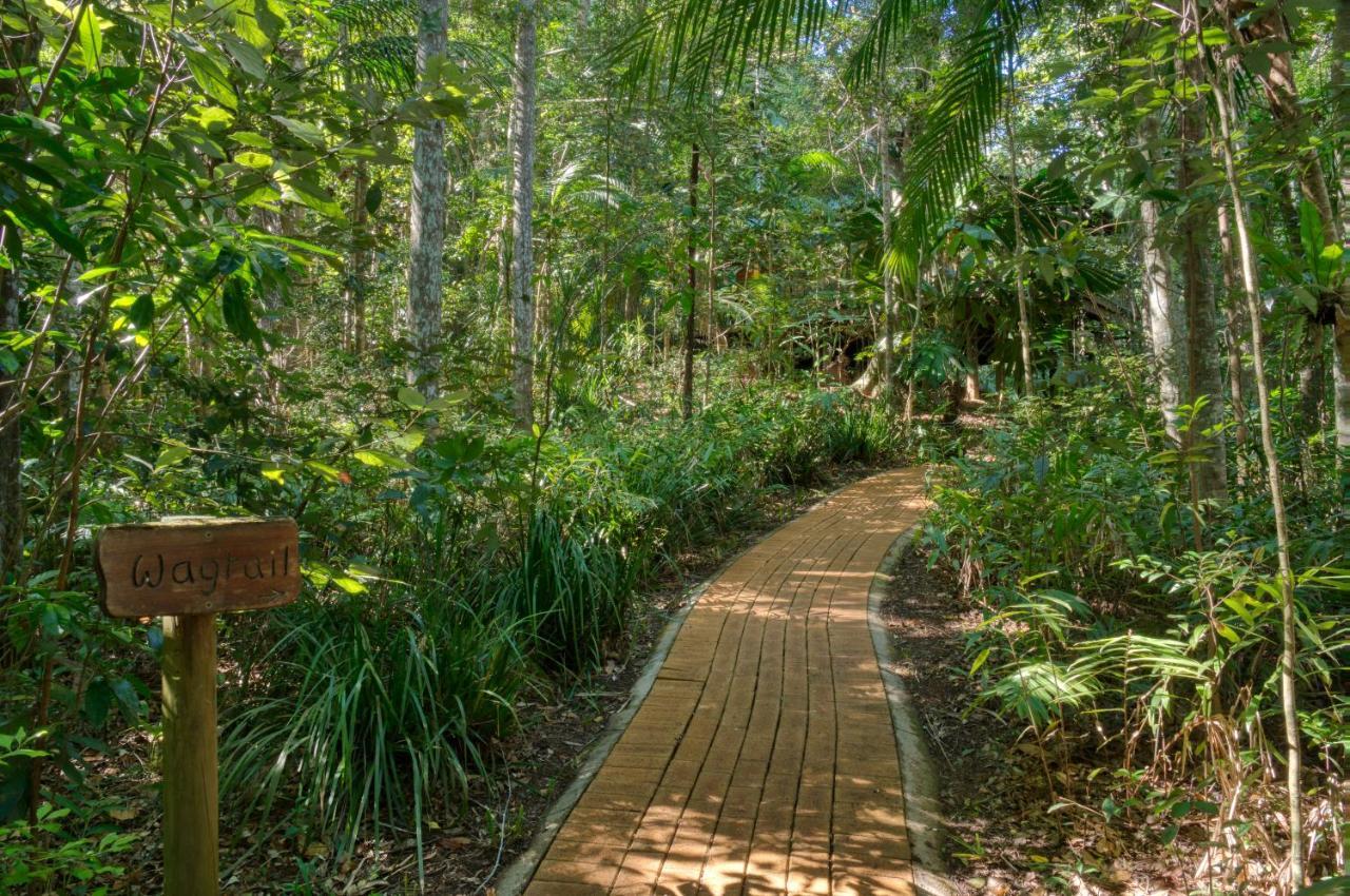 Narrows Escape Rainforest Retreat Montville Kültér fotó