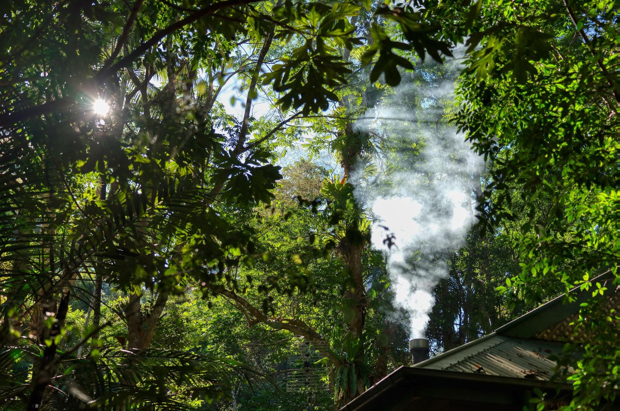 Narrows Escape Rainforest Retreat Montville Kültér fotó