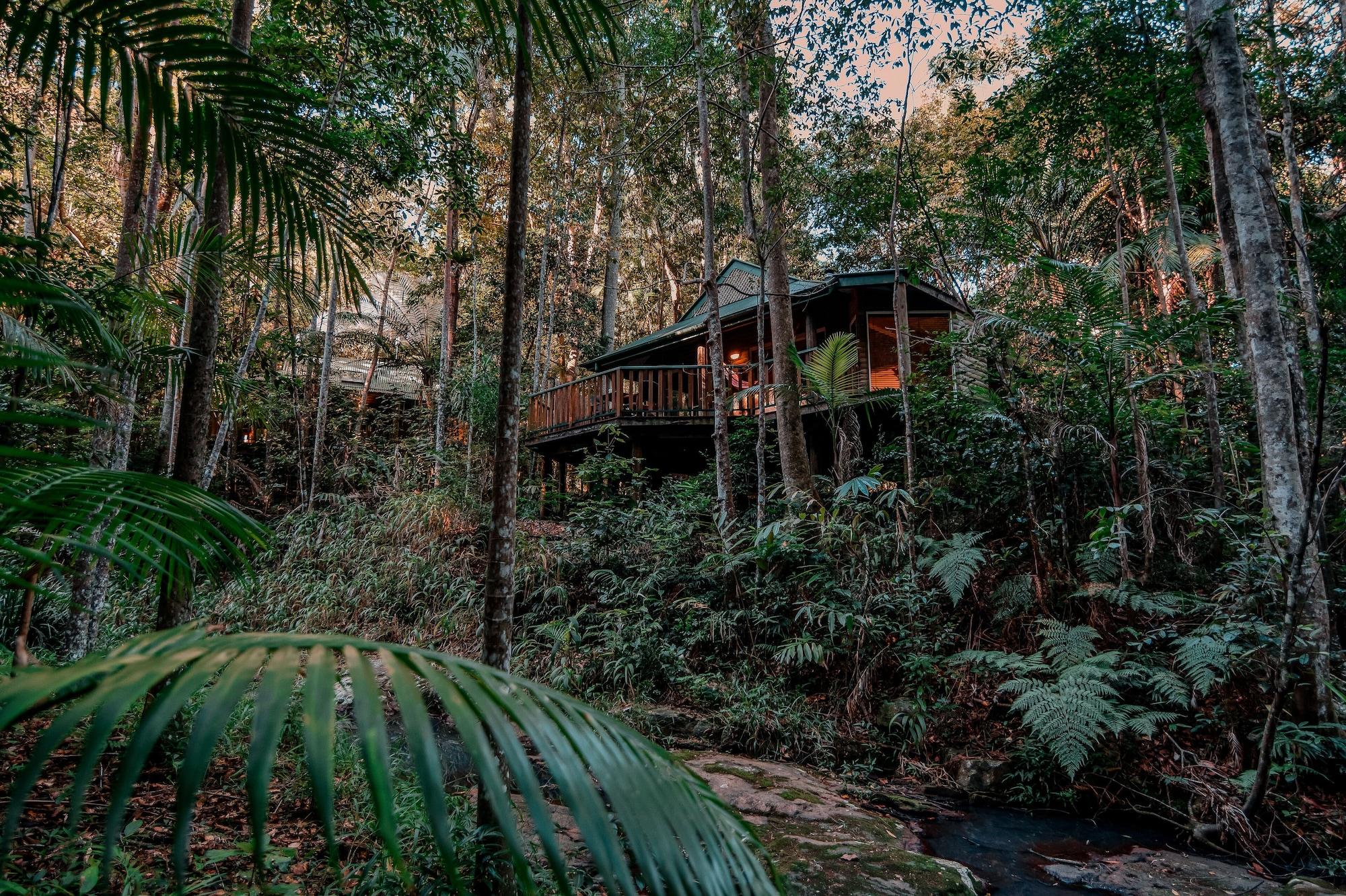 Narrows Escape Rainforest Retreat Montville Kültér fotó