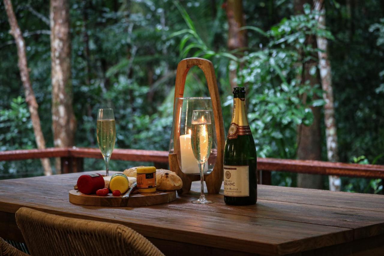 Narrows Escape Rainforest Retreat Montville Kültér fotó
