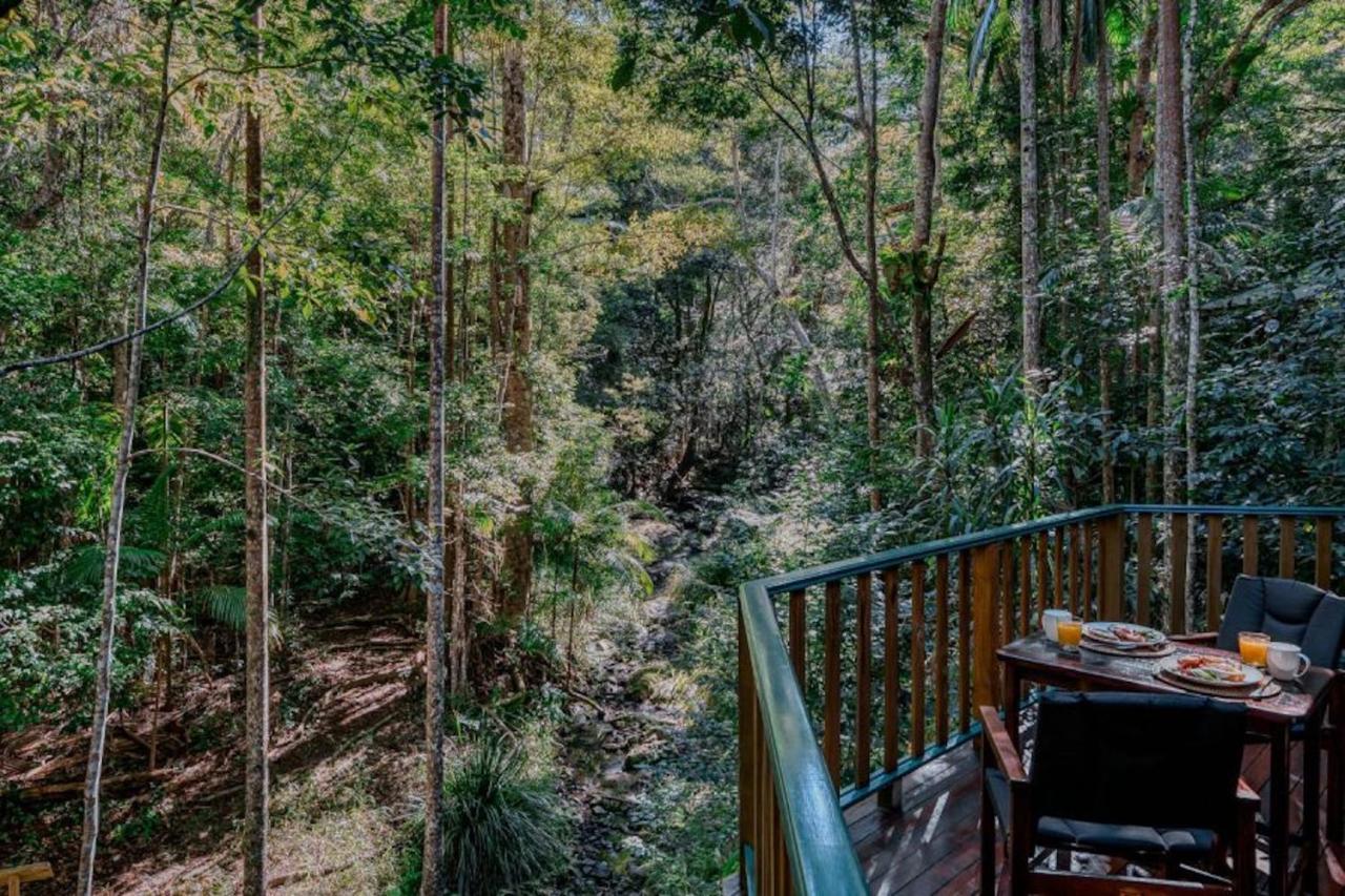 Narrows Escape Rainforest Retreat Montville Kültér fotó