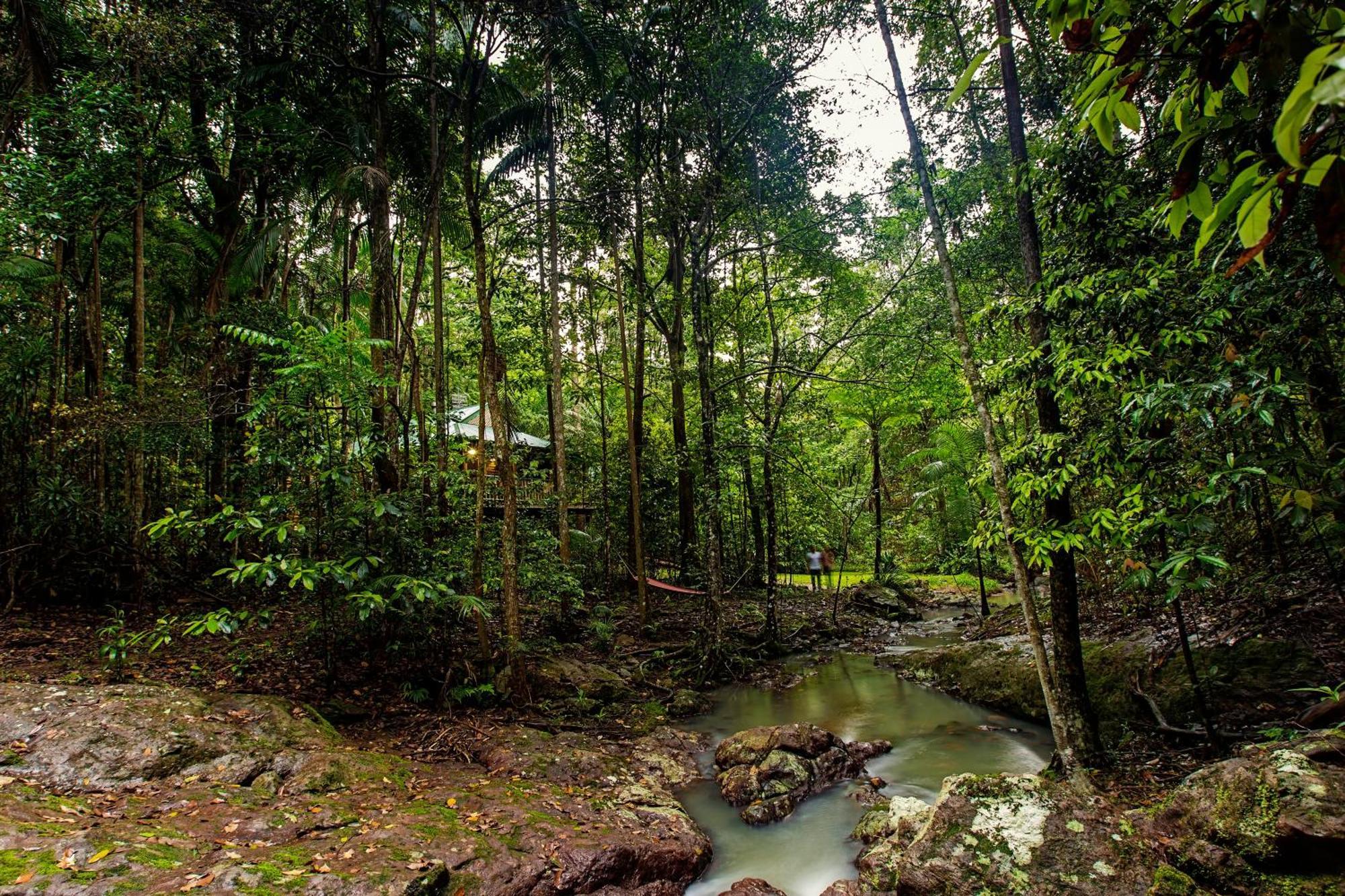 Narrows Escape Rainforest Retreat Montville Kültér fotó
