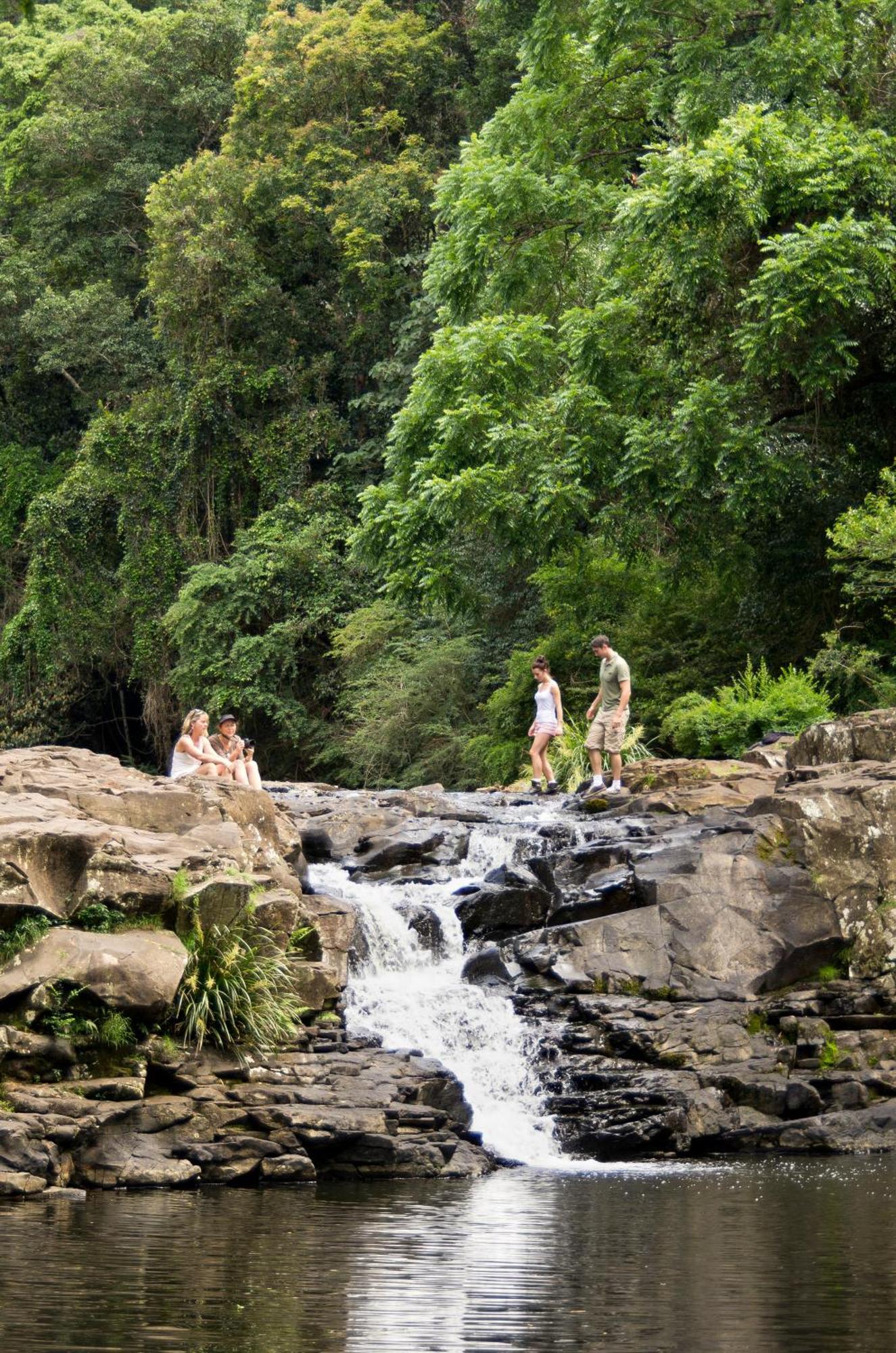 Narrows Escape Rainforest Retreat Montville Kültér fotó