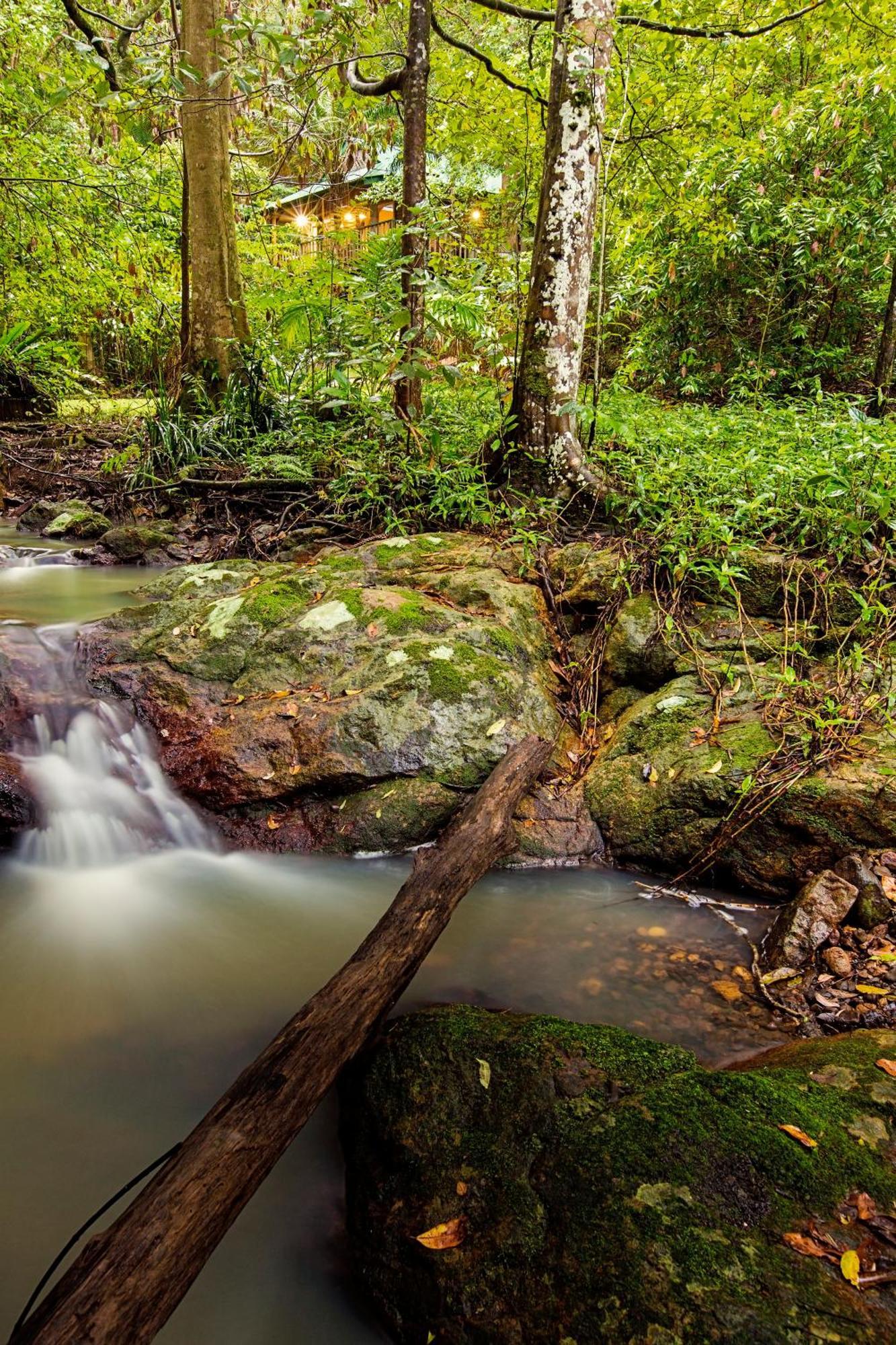 Narrows Escape Rainforest Retreat Montville Kültér fotó