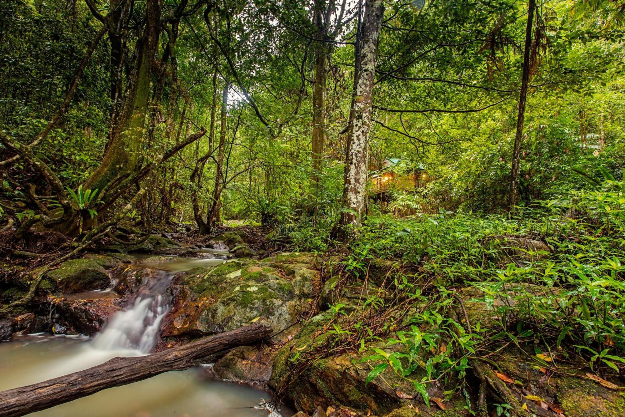 Narrows Escape Rainforest Retreat Montville Kültér fotó
