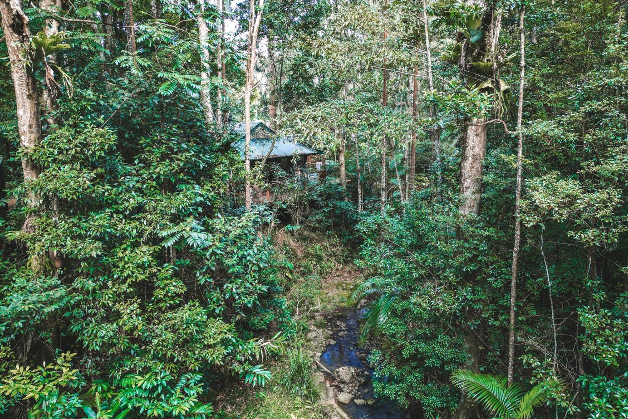 Narrows Escape Rainforest Retreat Montville Kültér fotó