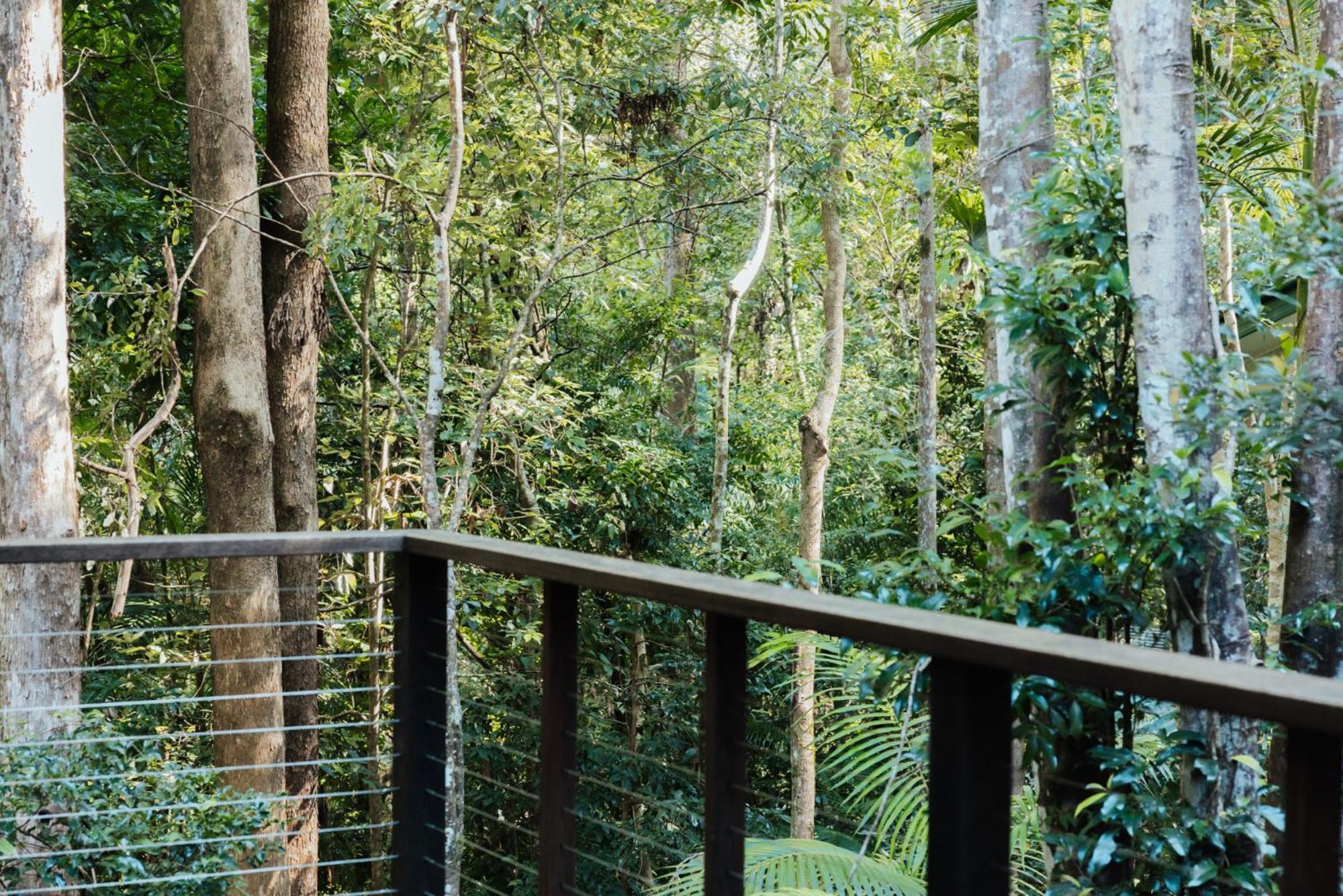 Narrows Escape Rainforest Retreat Montville Kültér fotó