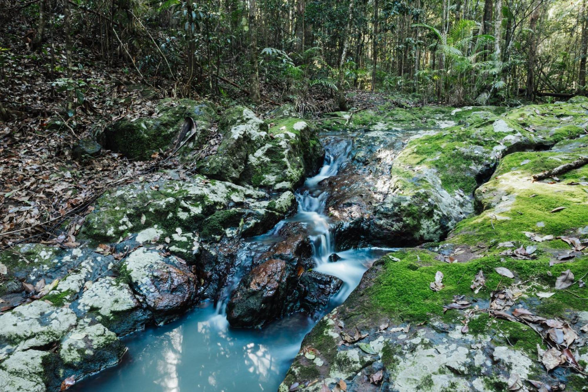 Narrows Escape Rainforest Retreat Montville Kültér fotó