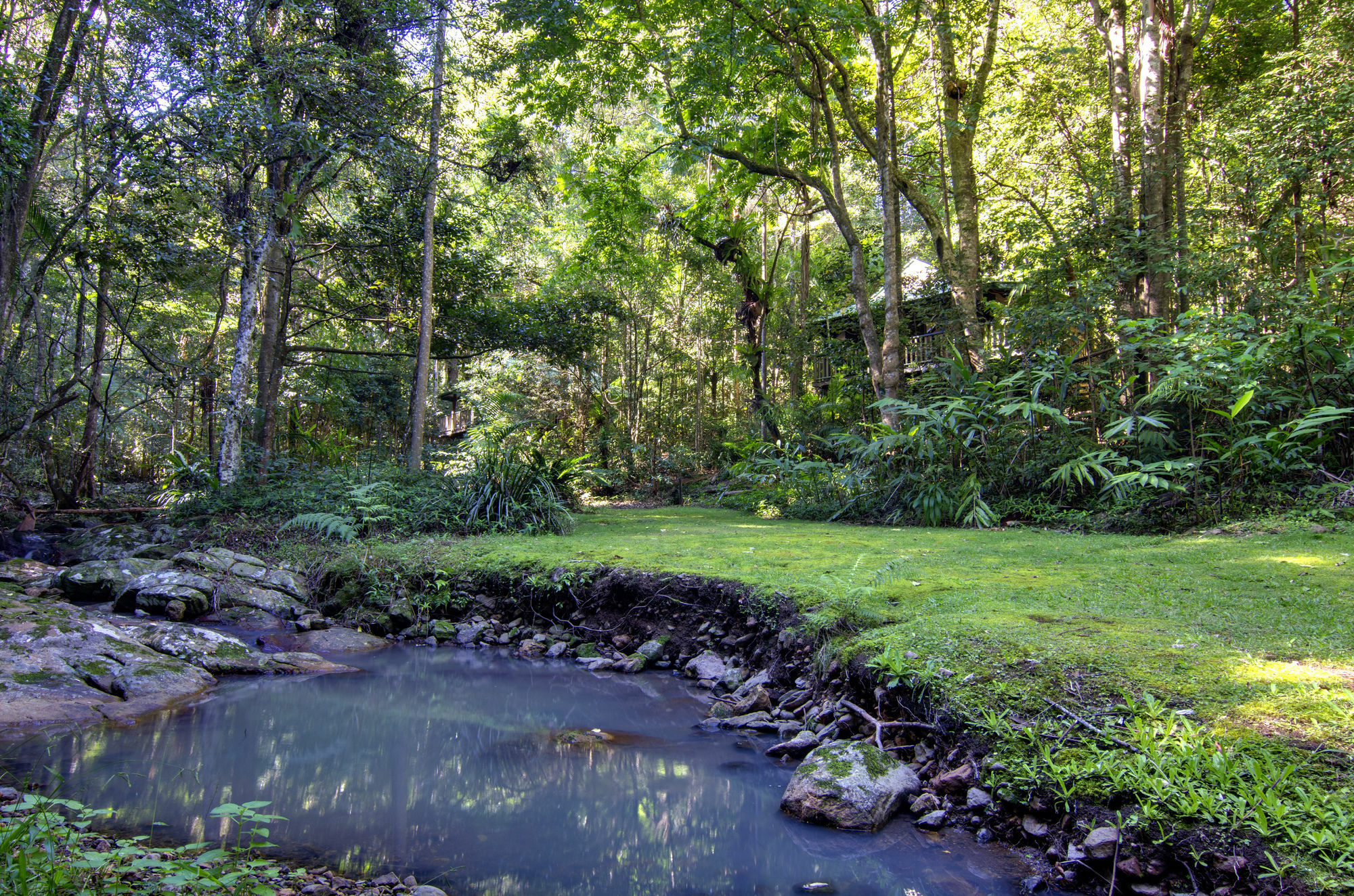 Narrows Escape Rainforest Retreat Montville Kültér fotó